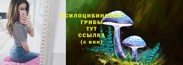 ALPHA-PVP Алексеевка